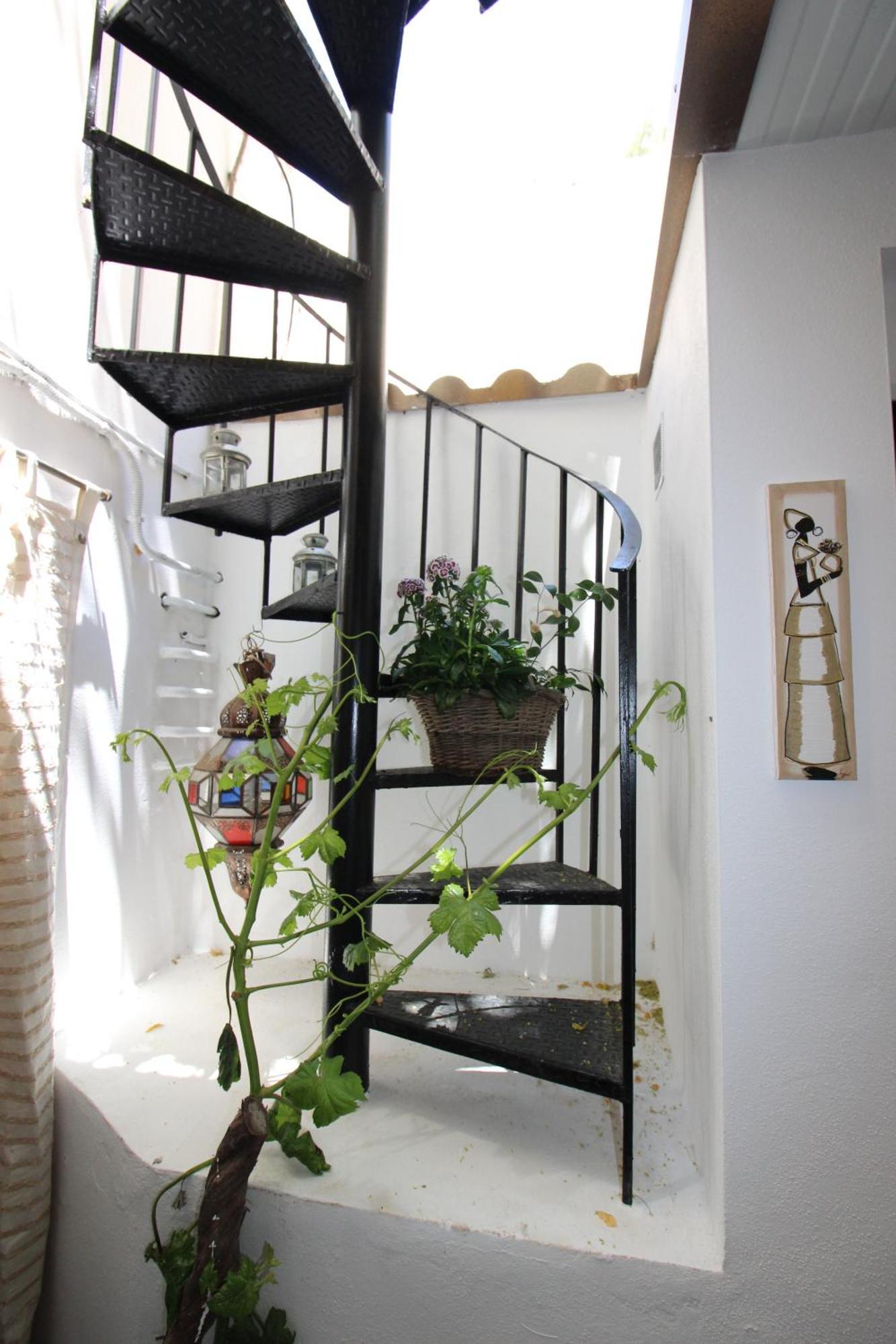 מאלגה Hostal Las Acacias מראה חיצוני תמונה